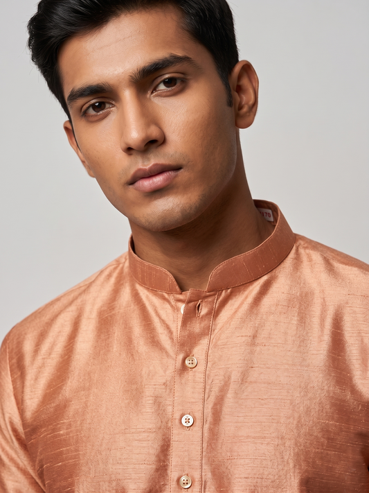 Light Brown Look Minimalist Festive Kurta