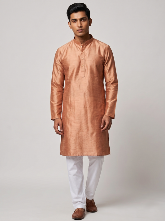 Light Brown Look Minimalist Festive Kurta